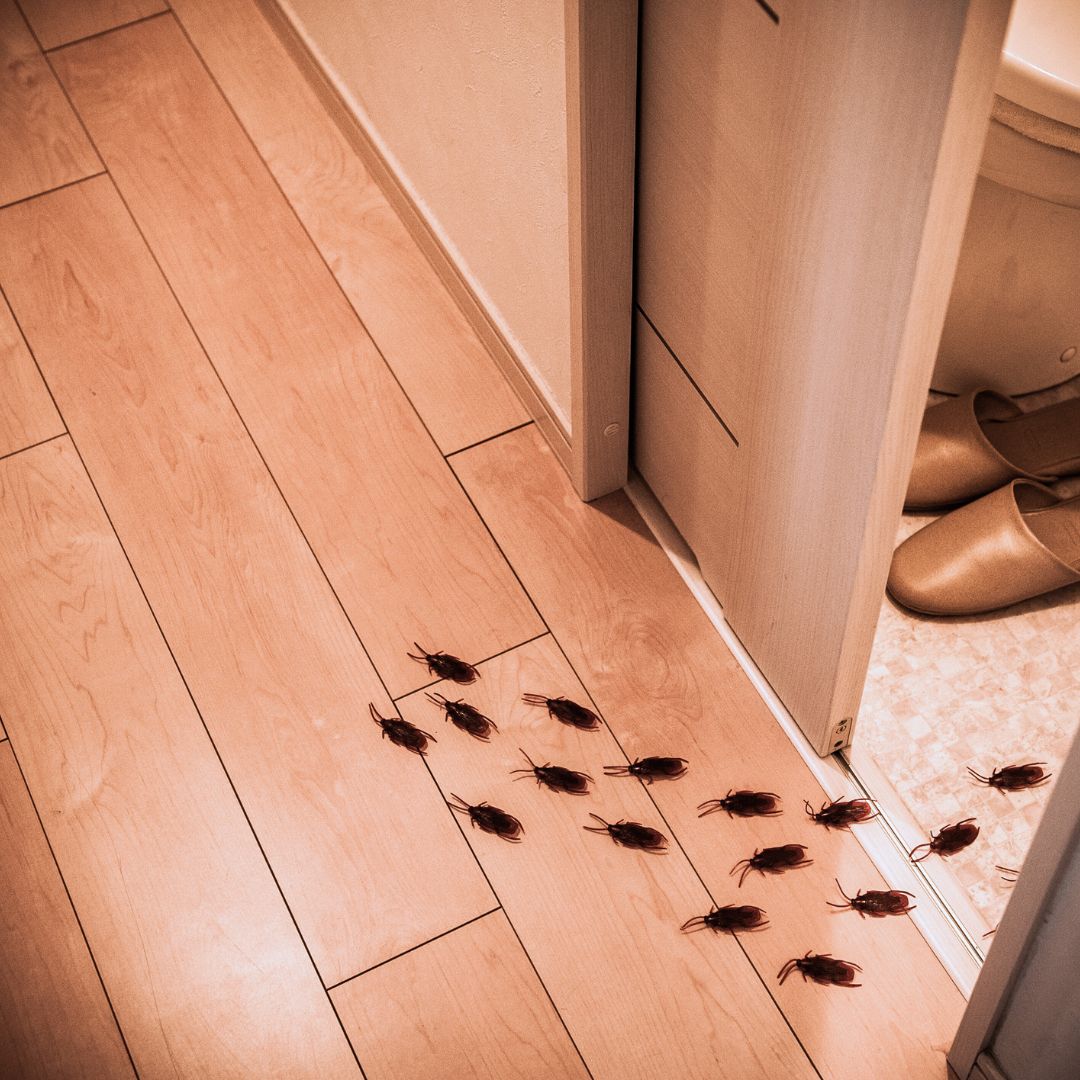 萬有清潔的資訊專區圖片